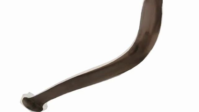 Baum mutiert zum Wallerholz / Clonck for Catfish