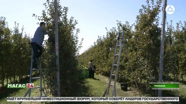 Сход граждан по вопросу трудоустройства