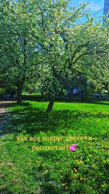 Доброе утро!