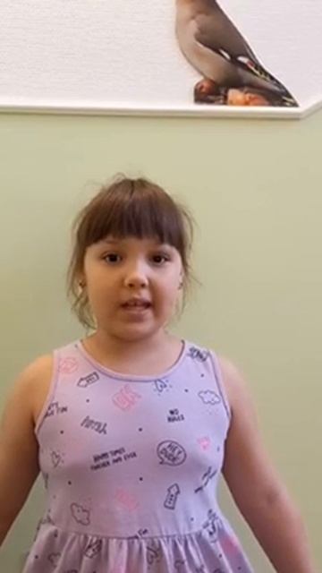 свиристель