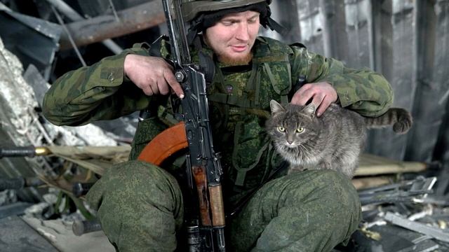 ДЕВЯТАЯ ЖИЗНЬ👍(Стихи М.Афонин)👍👍👍