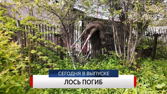 НОВОСТИ ДНЯ в программе "Губерния" 14 мая