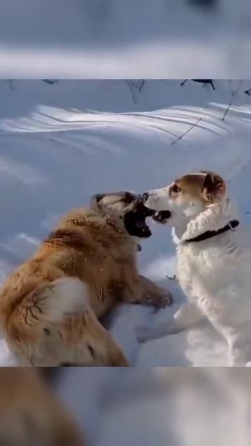 Я тебя не за деньги полюбил 😁