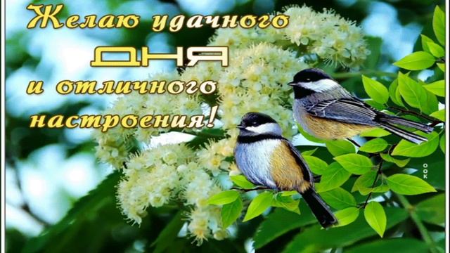 Доброе утро... Скажу я с улыбкой... День настаёт... В добрый путь, господа.. Ермолова Лара(Снежная