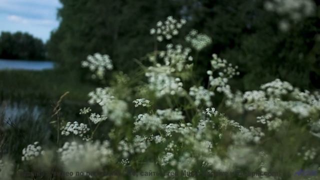 Эта музыка - ваш саундтрек для бесконечного путешествия вдвоём - Street Dancing -- Timecrawler 82 --