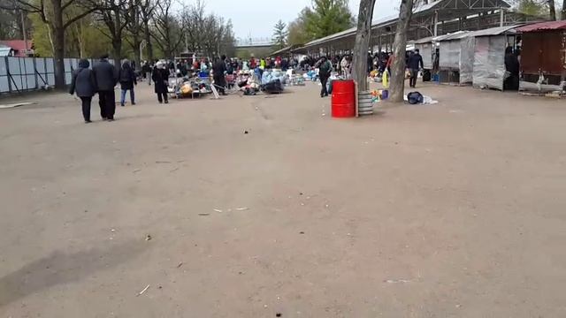 VID-20250514-WA0098
