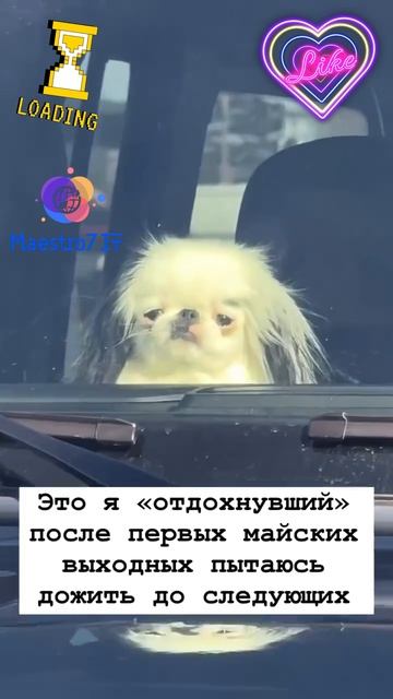 💡 Это я отдохнувший после первых майских выходных