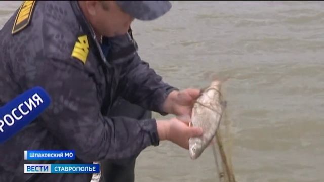 Ставропольские инспекторы рыбоохраны вылавливают браконьерские сети