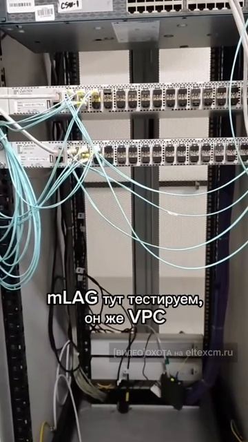 Коммутатор ЦОД MES5332A Eltex. Видео[Охота] на eltexcm.ru