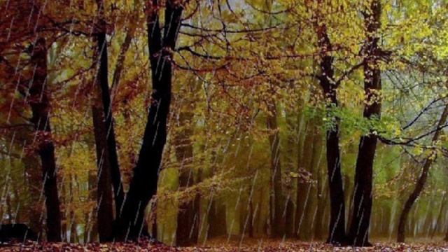 Валерий Капризов - Пепел любви