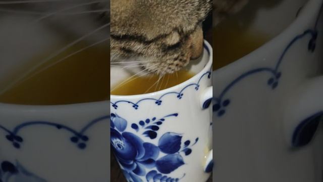 Сок