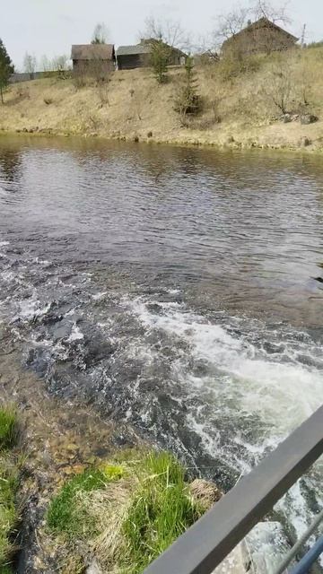 VID_20250515_124105.mp4