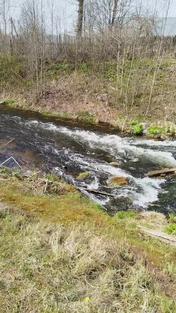 VID_20250515_132531.mp4