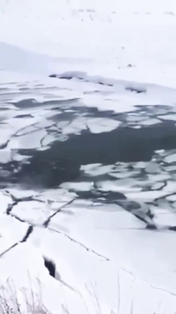 #shorts УТОПИЛИ СНЕГОХОД НА ЗИМНЕЙ РЫБАЛКЕ! ЗИМНЯЯ РЫБАЛК