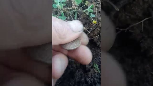 video-be5e88ceddf0fefc04b2b852553c0323-V.mp4