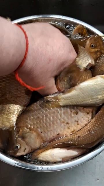 Наловили карасей!#рыбалка