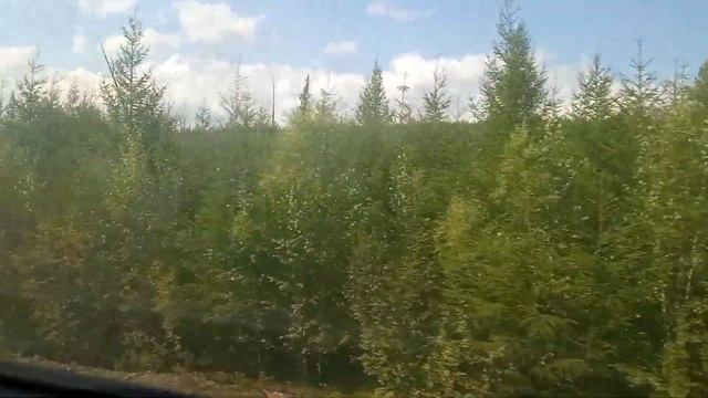 Нереальные виды тайги и гор / Забайкалье / Уникальная железная дорога / стук колес / из окна поезда