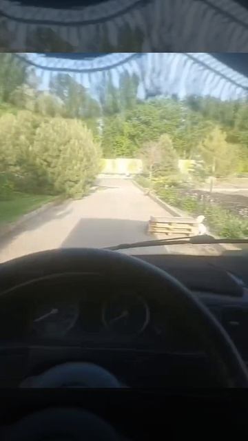 #Бро #на #приколе #в #жару