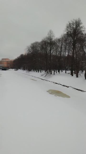 Река Мойка зимой, Петербург. 12 декабря 2023.