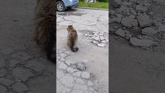Варюша принцесса Диснея👸👑