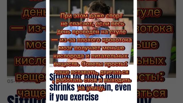 Сидячая работа уменьшает объём мозга, показало исследование. Учёные выяснили: длительное сидение