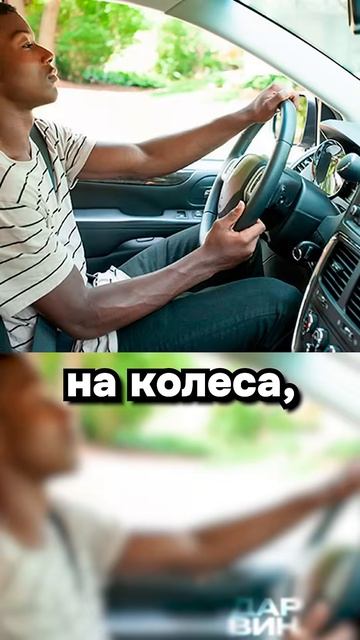 В Бразилии всё стабильно!