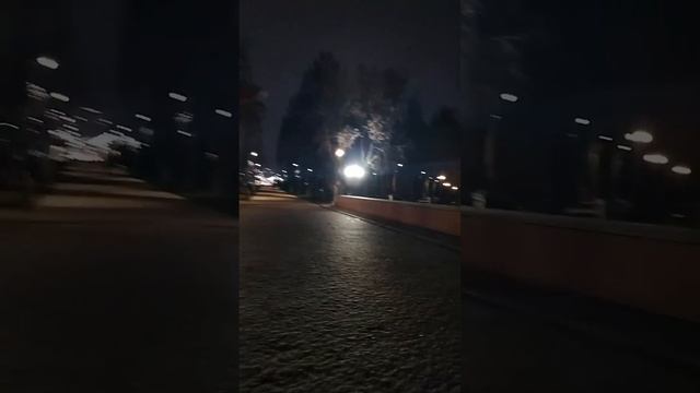 Рязанский Кремль ноябрь 2024