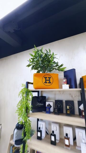 ДЦ Касьянов, Офис №603