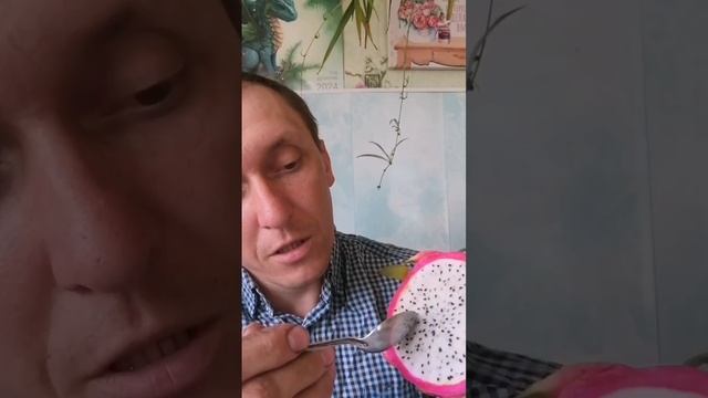 Питахайя, пробую первый раз в жизни
