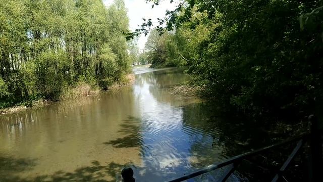 Москва . Весна в Северном Чертаново