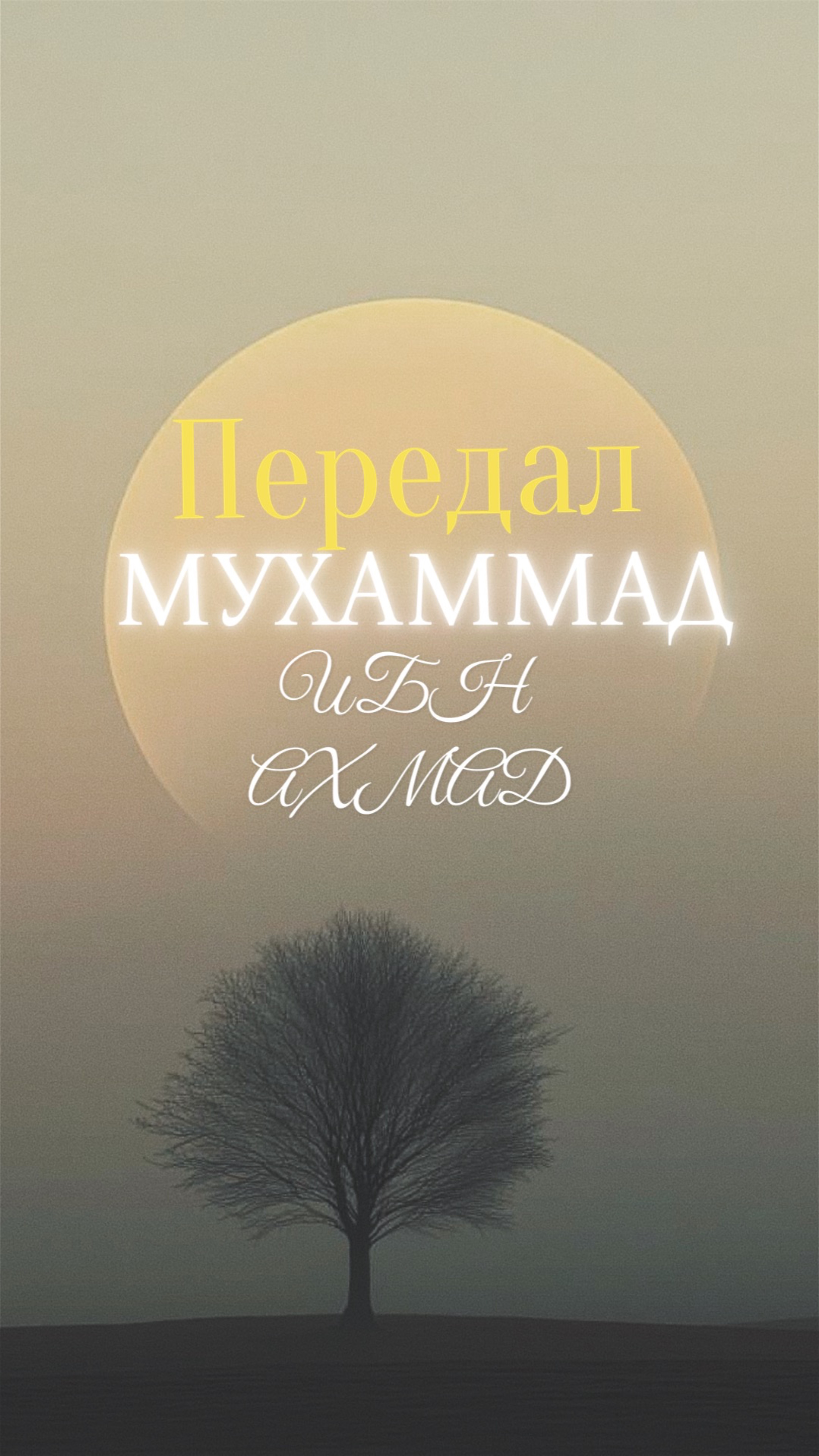 Следуй истине