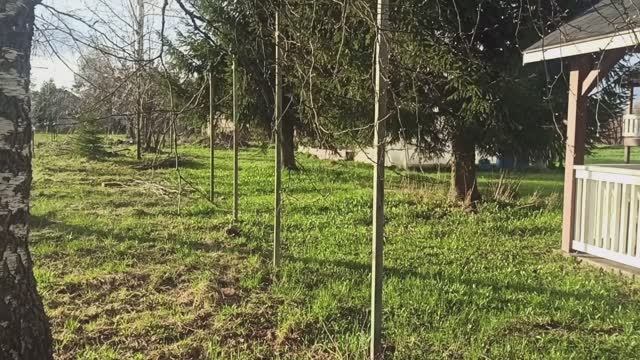 Забор своими руками! Из-за ошибки геодезиста буду переделывать свою работу! ч.1 Новые границы!