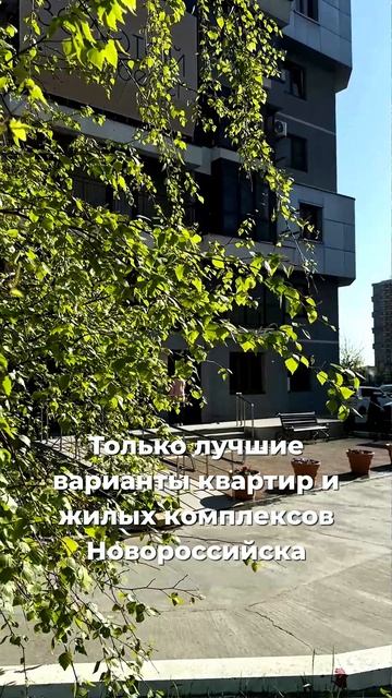 АН ФРЕГАТ Новороссийск