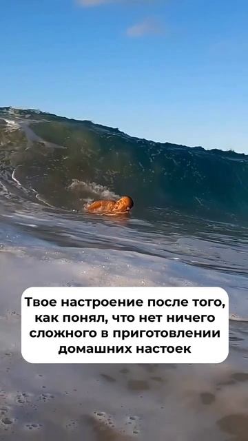 Запрыгивай на волну Алтайского Винокура  #алкоголь #настойка #готовимдома #вечеринки