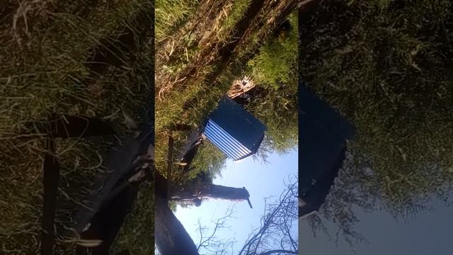 Я хочу писать страшние историе как мине это зделат