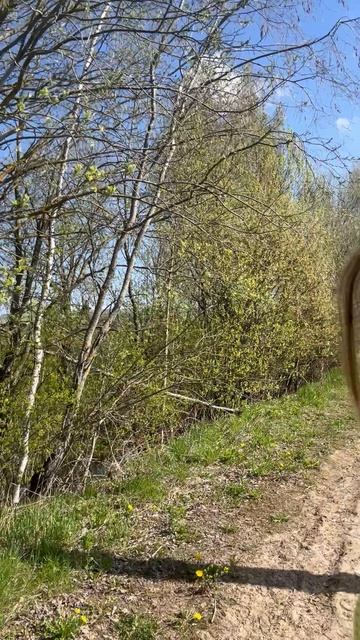 Солнце, загородный Петербург…🤩 Что может быть лучше?! #солнечныйпитер #счастливаяя #счастливыйдень