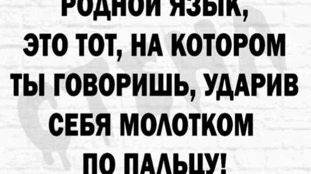 InShot_20250515_094732616