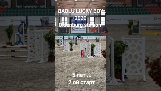 ES_HORSE 02