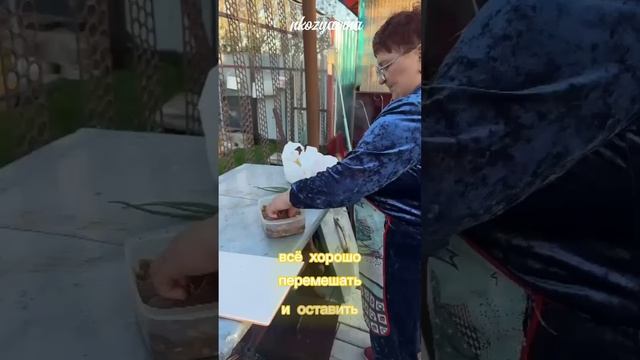 Шашлык из сазана . 9 мая