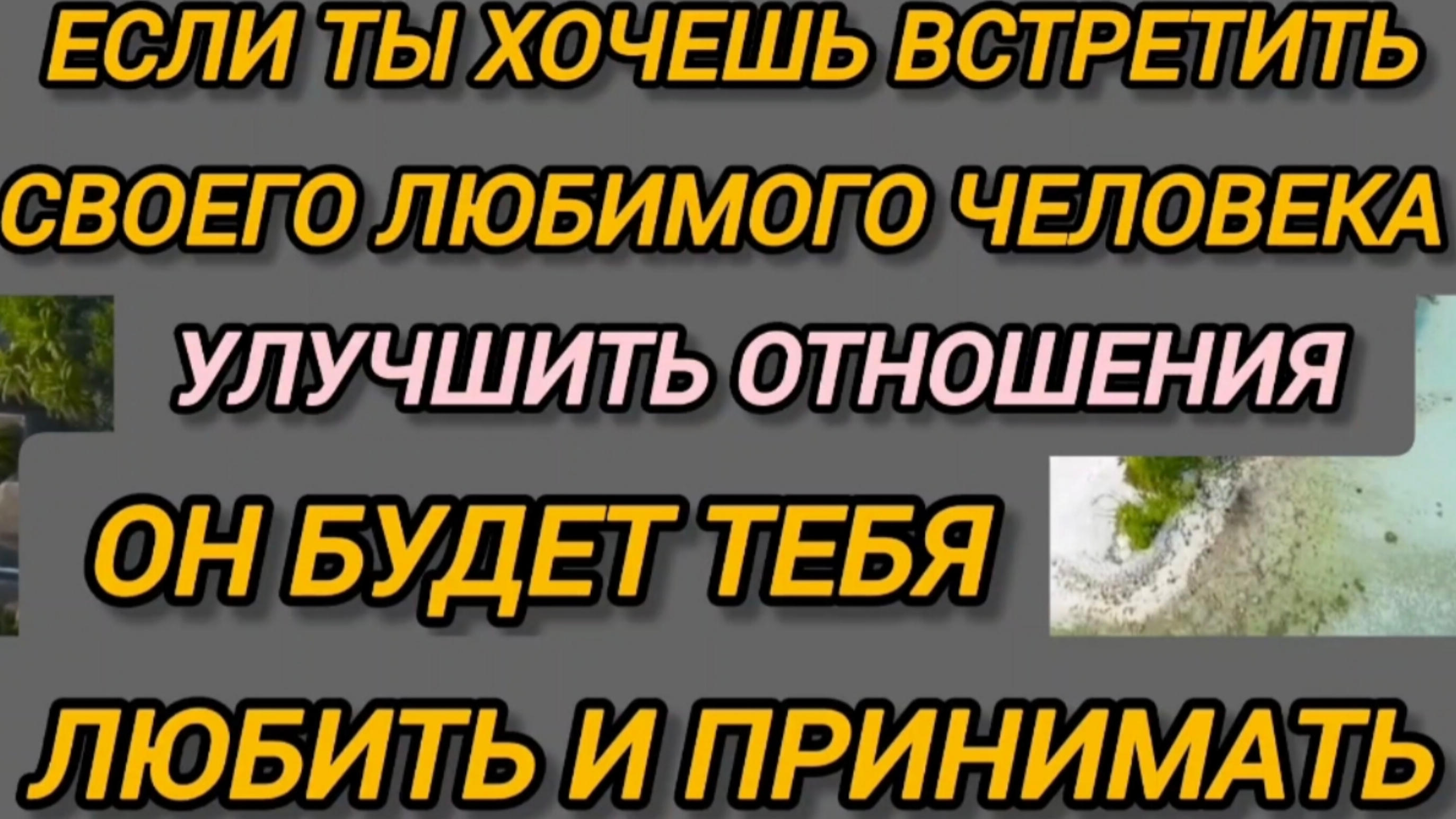 Если ты хочешь встретить свою любовь 🪉💞 Улучшить отношения