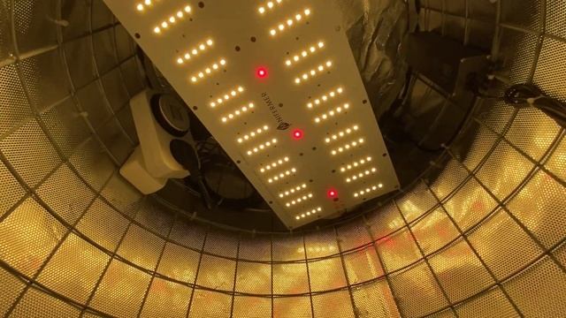 Growtube.ru. Модельный ряд "Лето 2022". Модель "Стандарт" в базовой и в Ультра комплектации