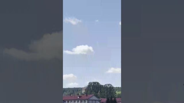 Светлячки вечернего леса