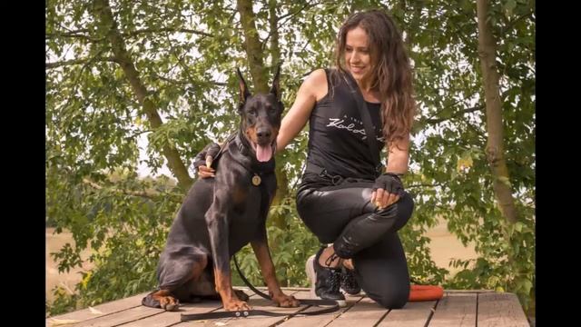 1 год за 30 сек Д-литер Аморе Дель Марис (Ак-Яр Жорес и Аморе Дель Марис Амбер Квин)
