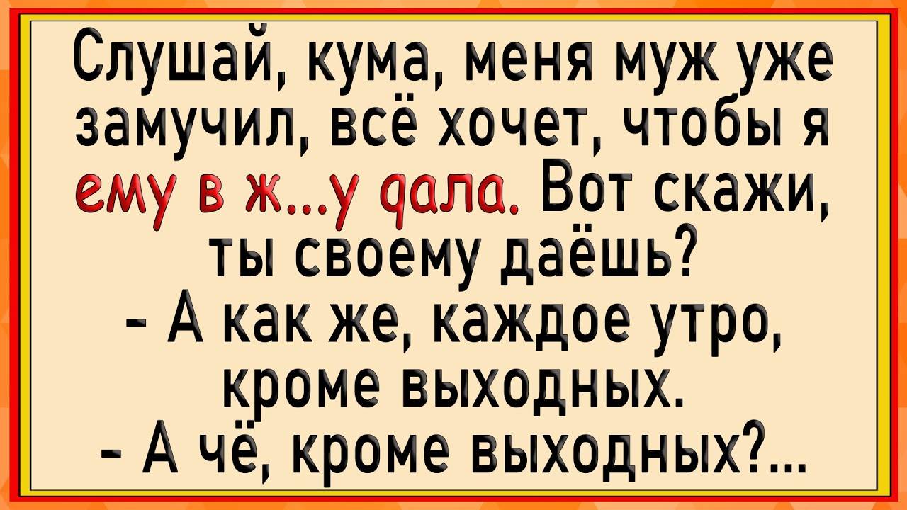 Как жена поставила мужу условие! Сборник свежих анекдотов! Юмор!