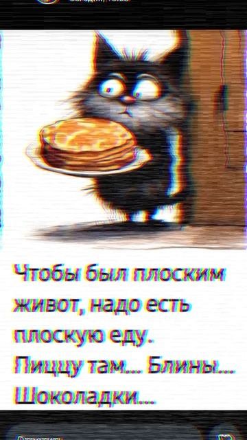 мем про кота