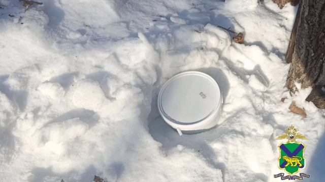 Два жителя Уссурийска приговорены к 25 годам лишения свободы за попытку сбыта почти 6 кг мефедрона