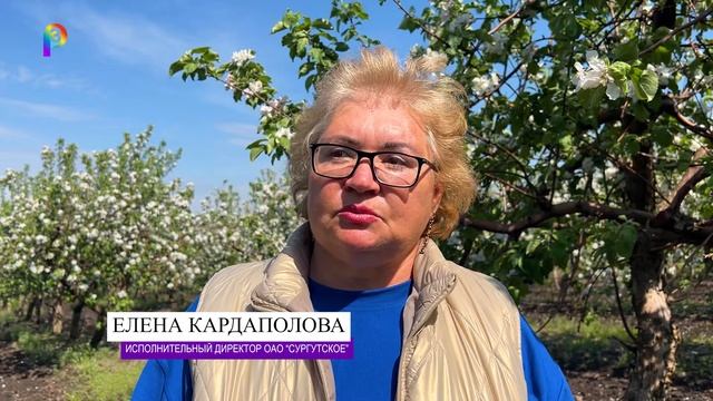 Цветение сада