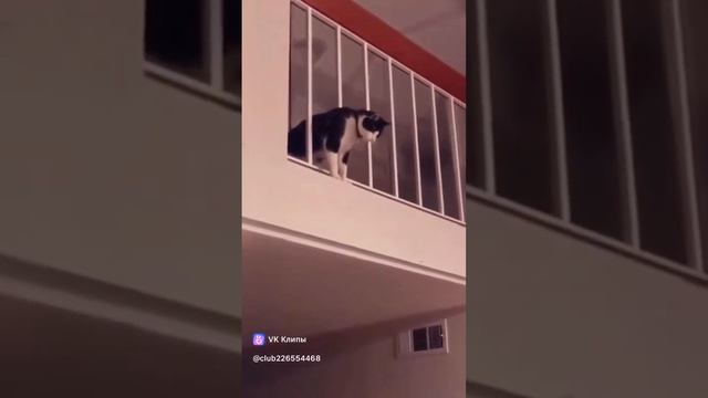 1000359264.mp4