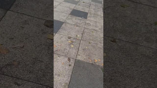 ооо в снег упал (скоро будет шортс)