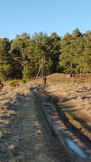Промчался моцик по дороге🚴🏻♂️у Клязьмы в Больших Дворах. Подмосковье 02.04.2025